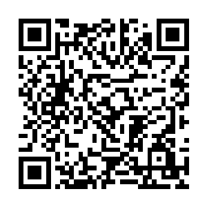 而新贵排位战就是他得到琴瑟海谷和扶桑神木的关键二维码生成