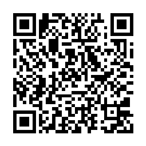 而方静的目光则是重新落在青龙族无上老祖身上二维码生成