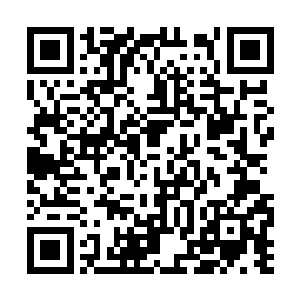 而旁边还有两台加湿器在不断的释放着湿润的空气二维码生成