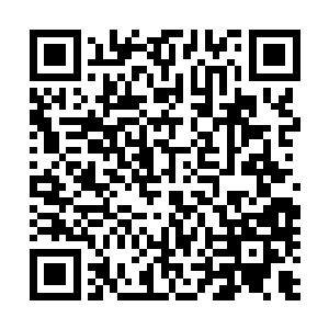 而无忧果乃是西宿星宫从六圣手中瓜分修行资源的重要手段二维码生成