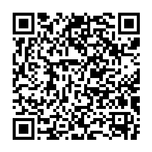 而无论是凤之遥冷皓宇还是沐擎苍显然都不是墨景祁能够记得住的人二维码生成