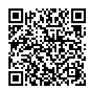 而昨天和杨洛有点不愉快的第一人民医院的医生二维码生成