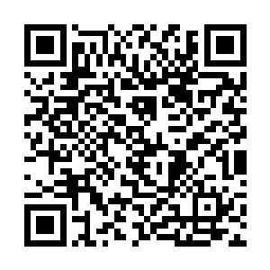 而是……在某些方面会拥有和副本参与者不同的功能二维码生成