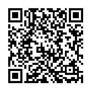 而是一个千年之前的炼尸宗的余孽布置的一个惊天之局二维码生成