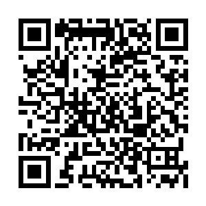 而是一直目不转睛的盯着下方的十八金龙异象阵二维码生成