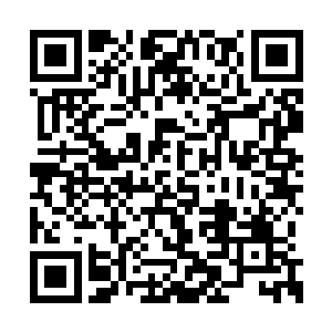 而是一脸凝重与畏惧的向华夏九暗自打量个不停二维码生成