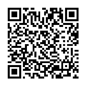 而是不会想到九原和他们两人的实力会上升得这么快二维码生成