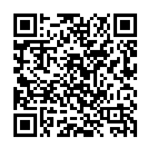 而是为了知道眼前这些仙界圣级大修士对他们的态度二维码生成