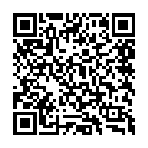 而是他从小的培养和教育都使得他有这样的表情二维码生成