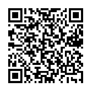 而是依旧闭目吸收着两颗五级金血丹化出的精纯药力二维码生成