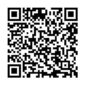 而是停下来看了看聚精会神听着他说话的江南雨二维码生成