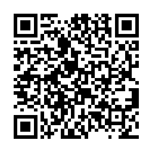 而是准备先炼化那用十万命值在神殿内换取的金菩提二维码生成