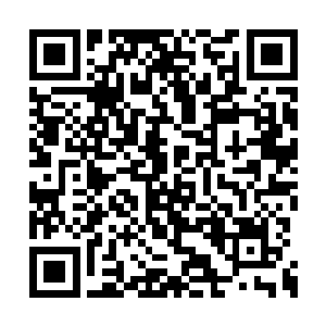 而是凌兰将这些招式修改成最适合她的身体条件二维码生成