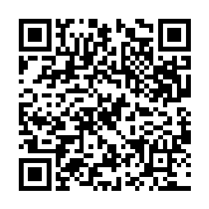 而是去观察自己与第四个经络石平台之间的龙卷风二维码生成