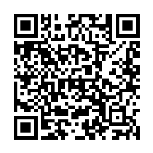 而是叶文华此人不像是为了女儿敢冒如此风险的人二维码生成