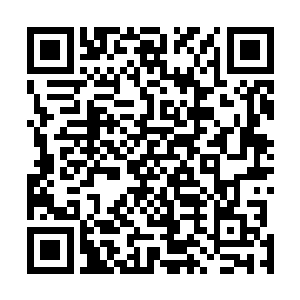 而是吸血鬼的天赋能力那个领头的吸血鬼说什么不死不灭二维码生成
