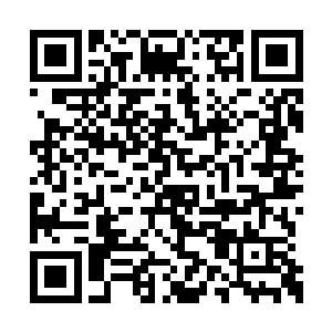 而是和杨晨一起来到了殿堂左侧的荣耀贡献台前二维码生成