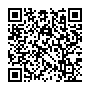 而是因为……因为他们现在的灵魂中只剩下冷漠了二维码生成
