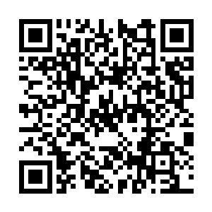 而是因为……因为林美人身边那个没有净身的内侍二维码生成