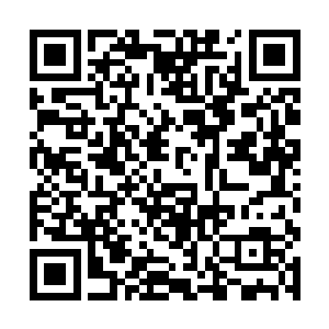 而是因为他们发现了遗失大陆的入口封印并没有破解二维码生成