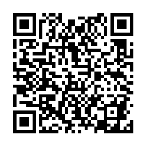 而是因为这片海域里长满了黑珊瑚以及黑色的水藻二维码生成