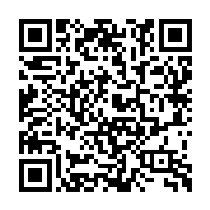 而是因为这部电影让我愿意相信爱情还是存在的二维码生成