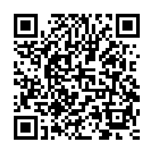 而是固执的认为他只是思考下辈子到底还要不要做父母的儿子二维码生成