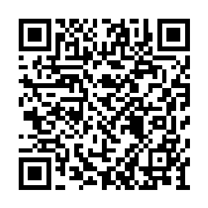 而是在旧技法中寻找到属于珍妮自我的那一个点二维码生成