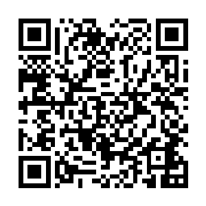 而是在混沌钟的保护之下强行挡住了这可怕的能量冲击二维码生成