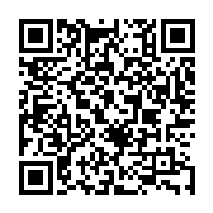 而是在给妮娜带好采集环之后抱着她出去准备大吃大喝去了二维码生成