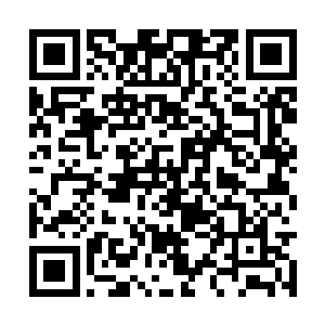 而是在距离秦方他们还有五六米左右的时候停住了二维码生成