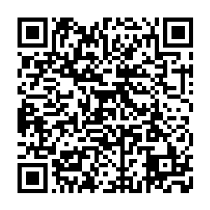 而是在这里对一个尚未及笄的小姑娘有信心的人可能只有眼前这一个傻瓜笨蛋二维码生成