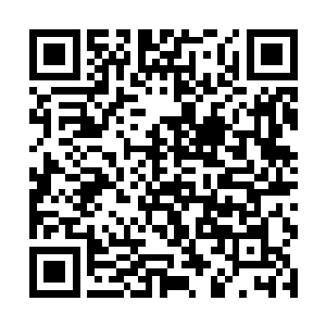 而是天地洪炉跟那生灵之间产生的某种神秘气息感应二维码生成