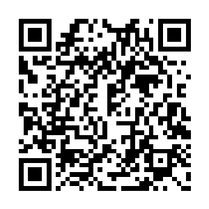 而是如何才能在人族老祖的眼皮子底下逃出生天二维码生成