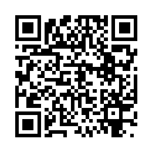 而是对着蓝色通讯版直接做起了试验日志二维码生成