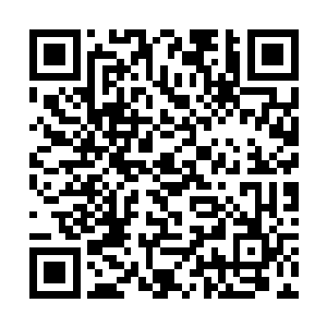 而是将目光放在了地方阵法形成的八只灵气巨蛇身上二维码生成