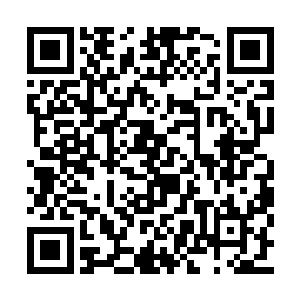 而是希望能躲在你的床下看你和其他客人的表演二维码生成