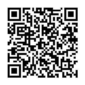 而是应该感谢你们的祖先没有把部族安在里海以东二维码生成