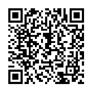而是当成可以商量决定重大事情的家族决策人之一来看待二维码生成
