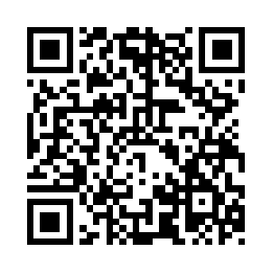 而是形成了幸运精灵这种神奇的生物二维码生成