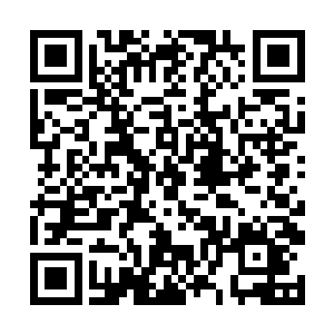 而是拖着迈克就像拖死人一样把他拖到了罗伊的身边二维码生成