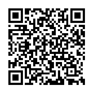 而是故意令鬼雀妖王和阴葵妖王先离去一段时间二维码生成