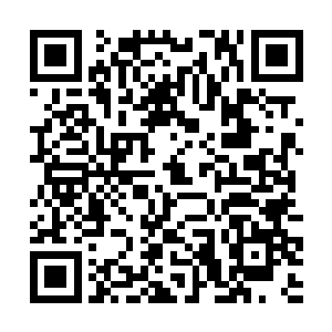 而是用巨大的鱼尾席卷了几只普通蛤蟆过来抵挡刀气二维码生成