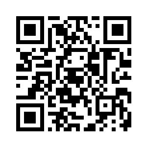 而是由另外四道基础铭纹构成的二维码生成