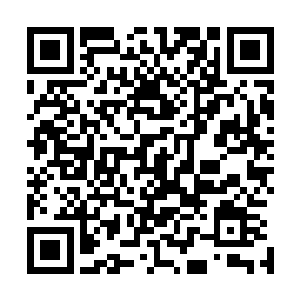 而是由神武宗先祖观想一幅蕴含有天地大道的画中感悟而来二维码生成