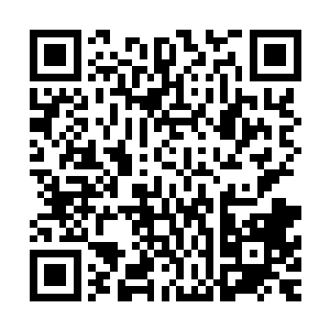 而是由金嗓子集团请来的几位著名乐评人和乐队共同得出来的二维码生成