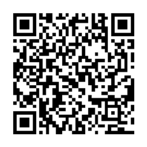 而是直接从头到尾仔仔细细将她现在所拥有的权限全部打开二维码生成