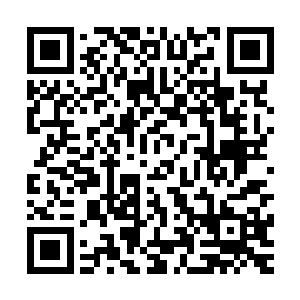 而是直接找寻中品灵脉……而且还要找寻非常极品的中品灵脉二维码生成