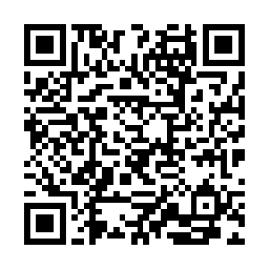 而是直接朝着九头妖帅的主蛇头蛇口之中卷射了过去二维码生成