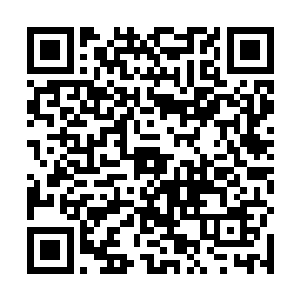 而是笑眯眯的弯腰将那张飘落到地上的百元大钞捡起来二维码生成